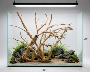 For 3ft tank