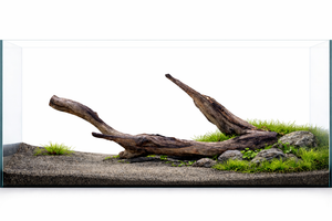 Twinspire Driftwood – Sculptural Wood for Nature Aquascapes (suitable for tanks above 5 feet) thumbnail 1