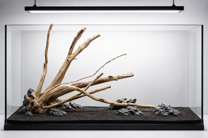 Suitable for 3 ft tank