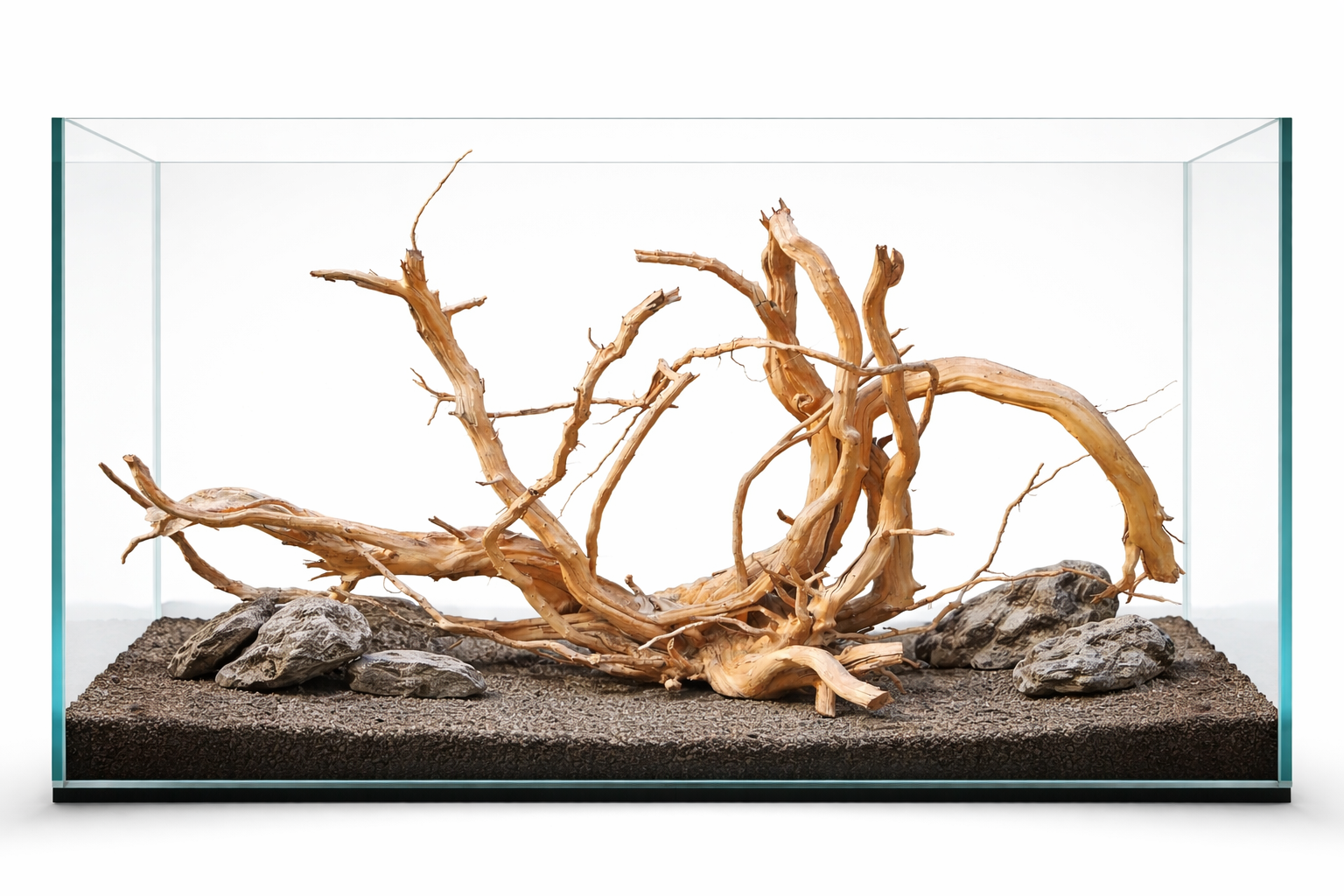 42*24 inch LXH for monster tanks