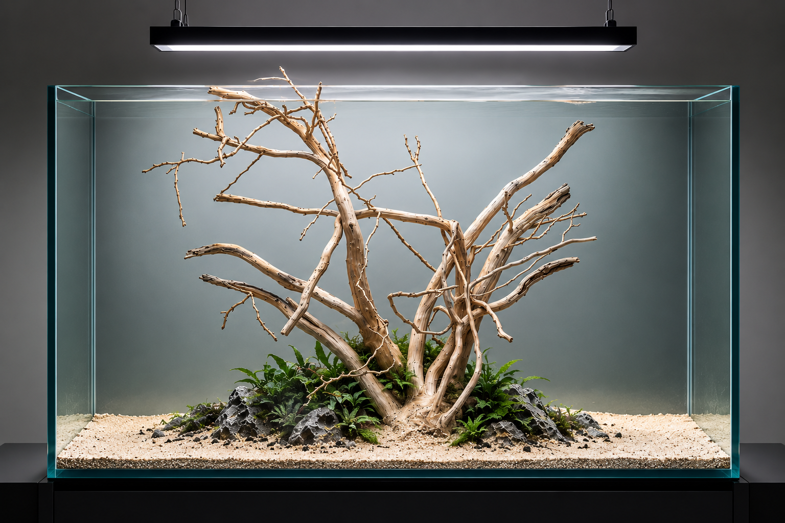 For 3ft tank
