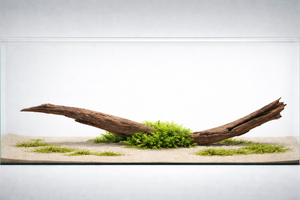 Kanso Drift — Driftwood Layout Concept thumbnail 1