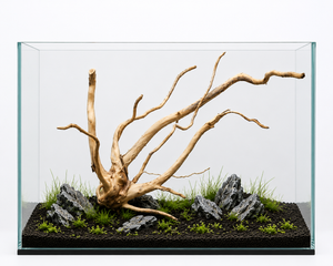 Suitable for nano tank