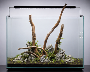 Suitable for 18 inch to 24 inch tank thumbnail 1