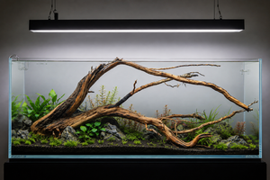 Suitable for 3 ft tank