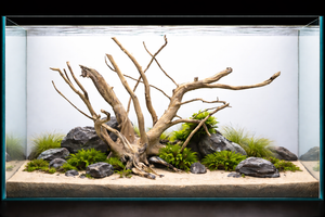 36*24 inch LXH thumbnail 1