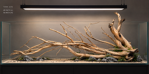 For 4 ft tank & above -premium corner piece