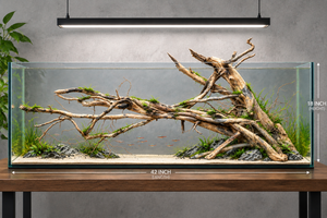 For 4ft tanks and above