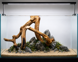 Suitable for 2 ft to 3 ft tank thumbnail 1