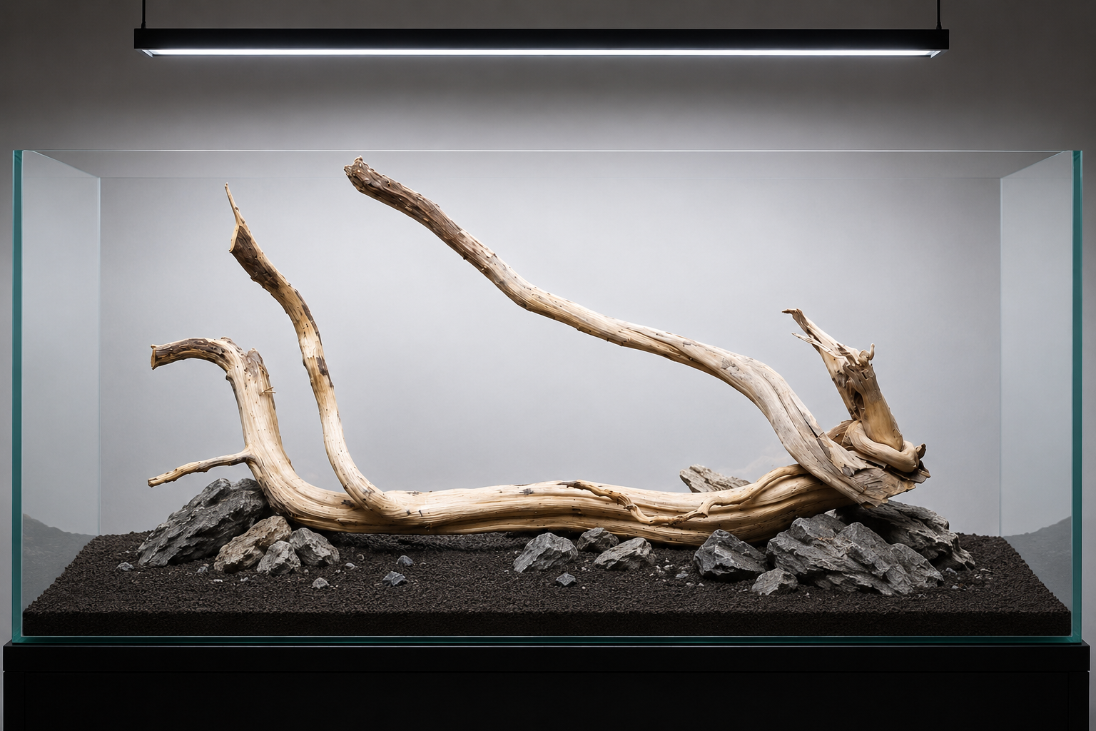 For 2.5 to 3 ft tank