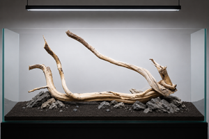 For 2.5 to 3 ft tank thumbnail 1