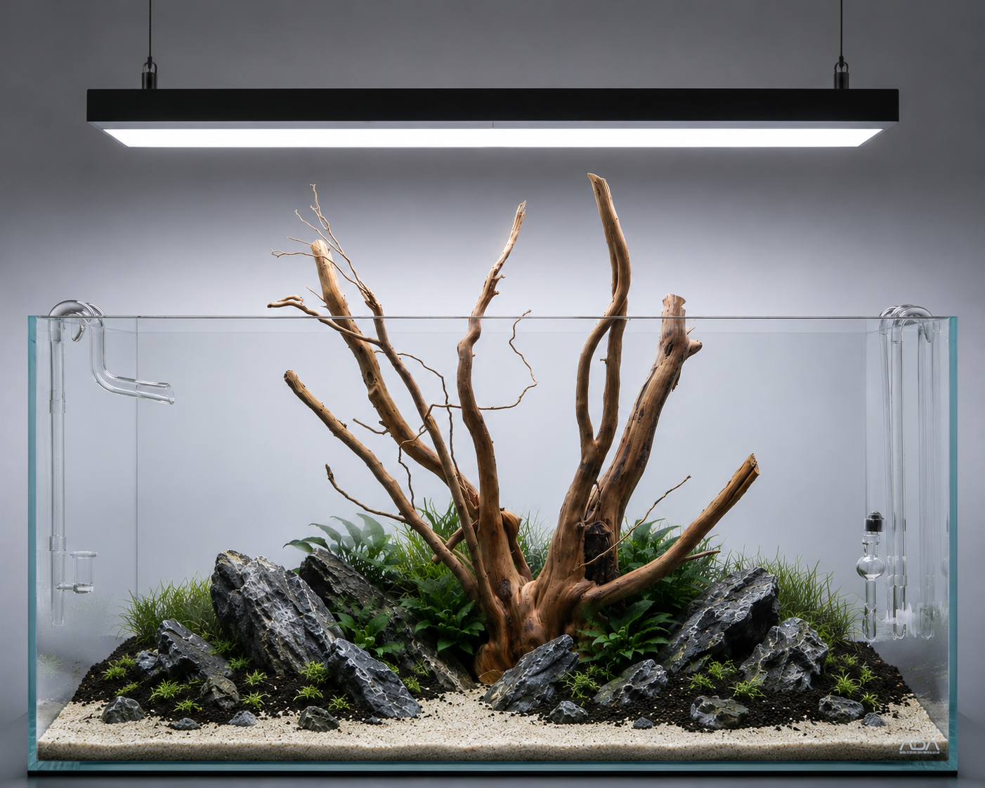 Suitable for 2 ft to 3 ft tank