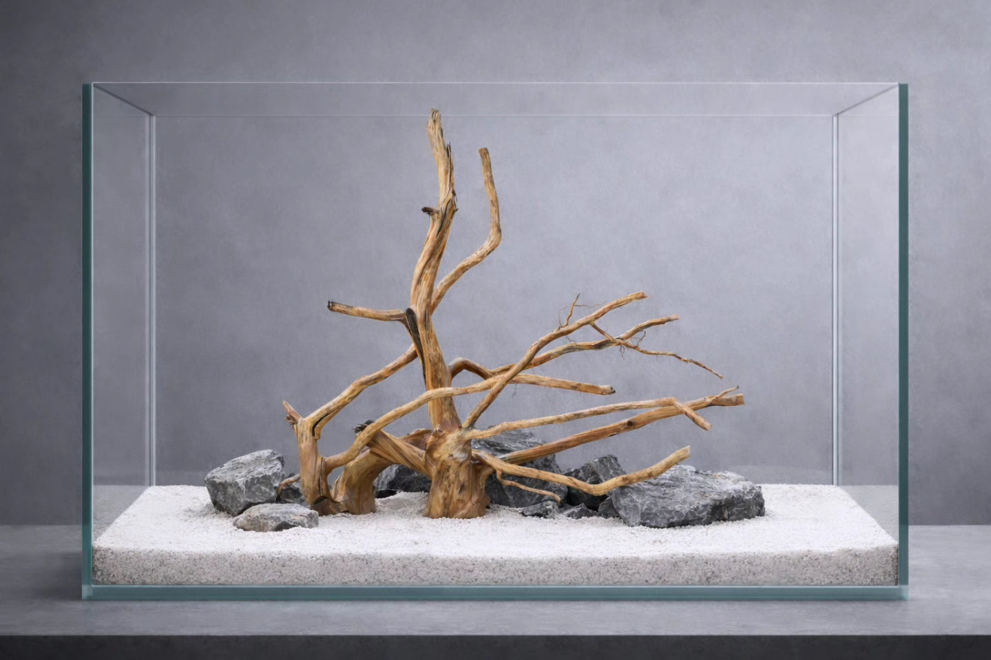 20×20 Inch Spiderwood — Balanced Mid-Size Centrepiece with Natural Flow