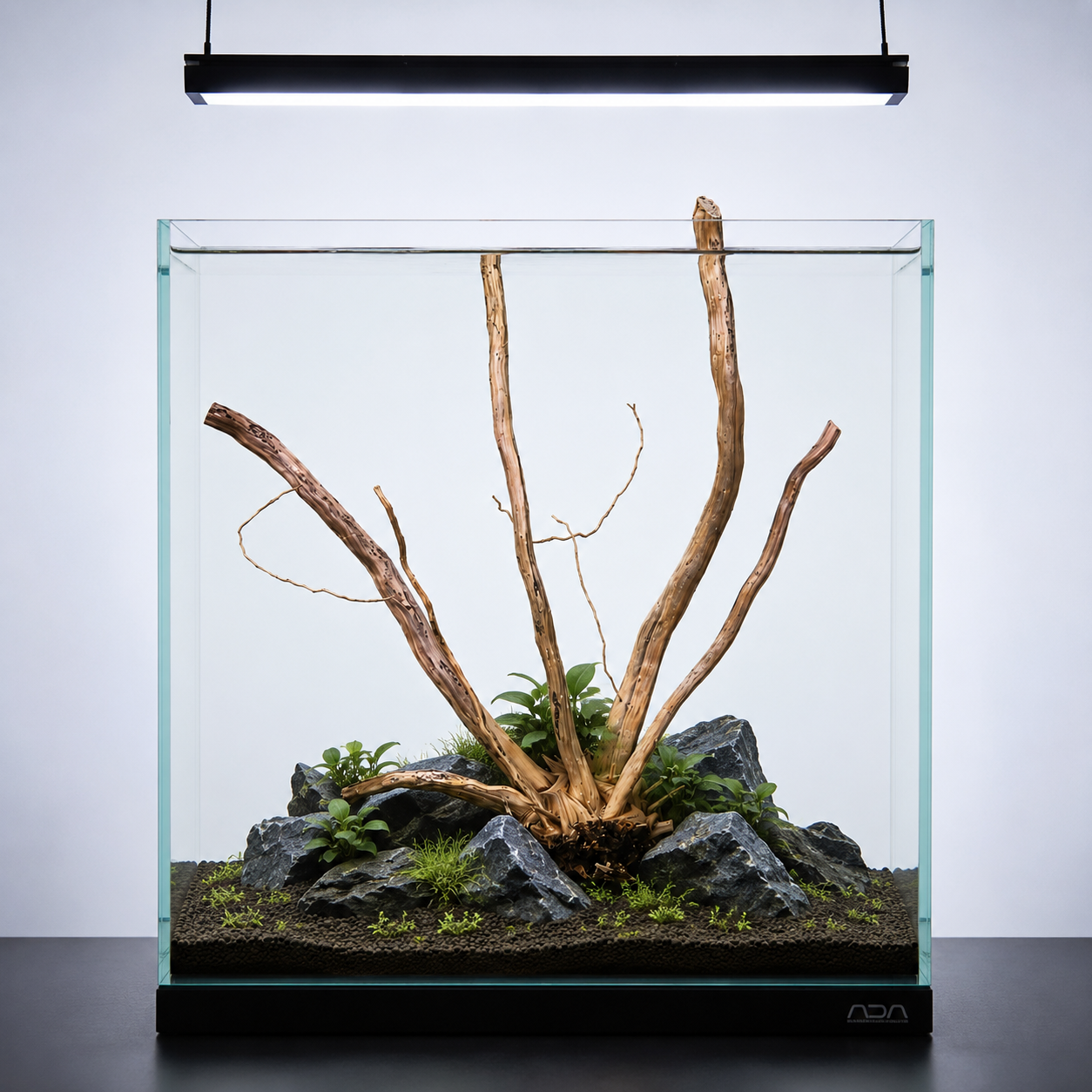 Suitable for 18 inch & 24 inch tank