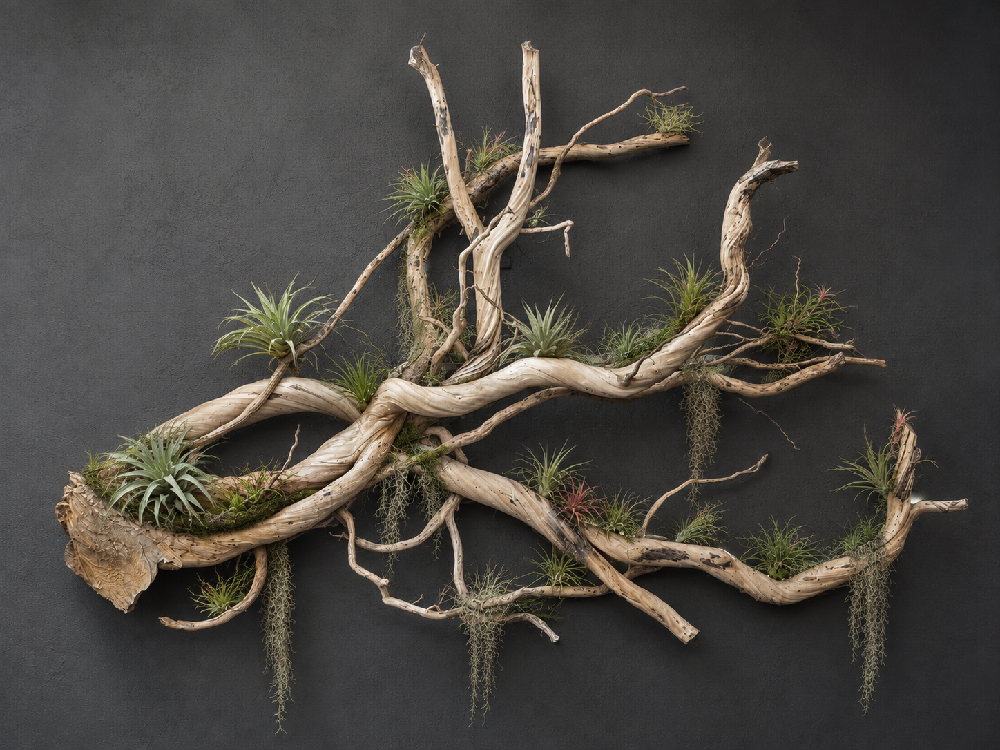 Signature Driftwood Wall Art | 36×24 Inch
