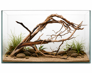 Perfect for 2 ft tank (BIOTOPE) thumbnail 1